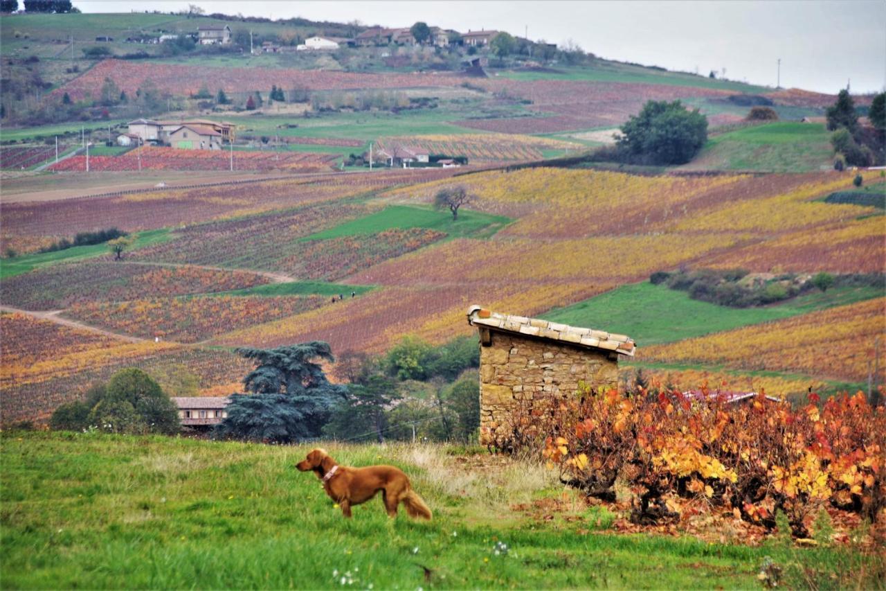 Le Vieux Pont Bed & Breakfast Saint-Julien  Luaran gambar